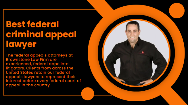 Best federal criminal appeal lawyer