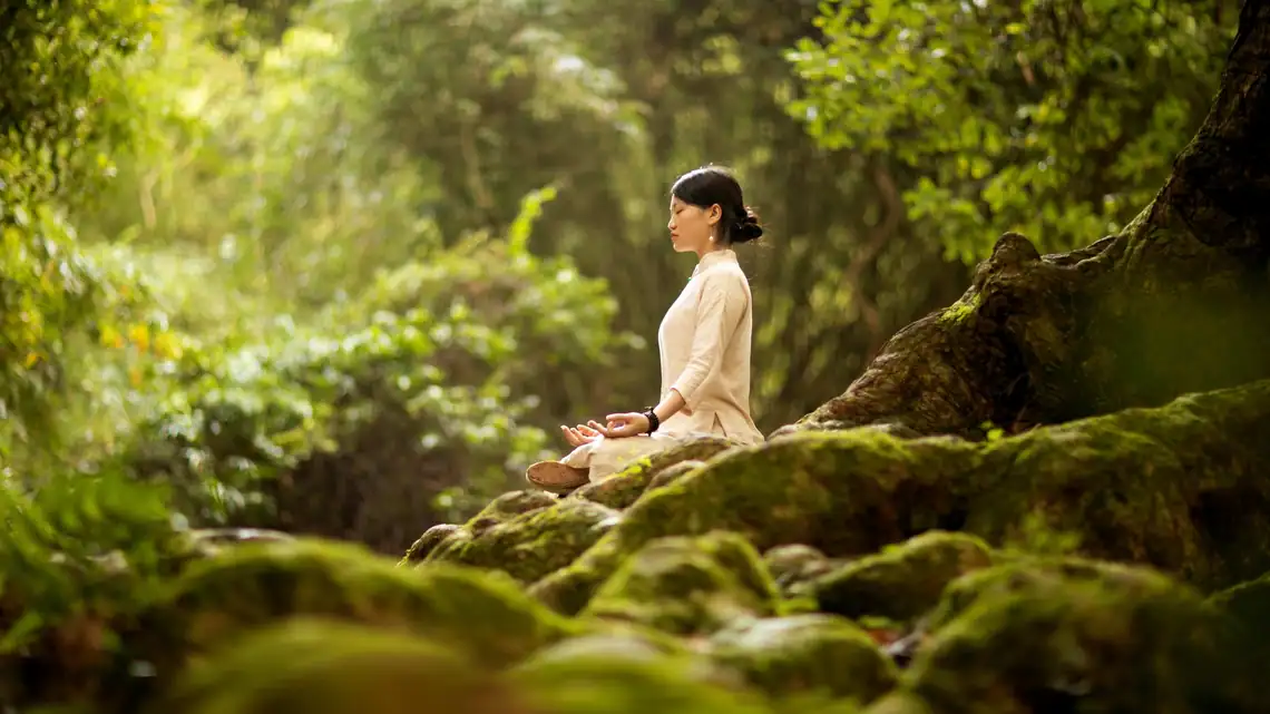 Forest Bathing – The Natural Antidote to Urban Stress