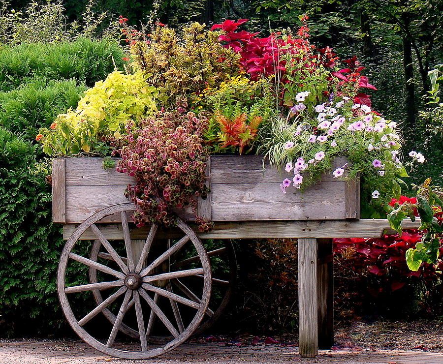 Ultimate Guide to Flower Cart Rentals: Everything You Need to Know