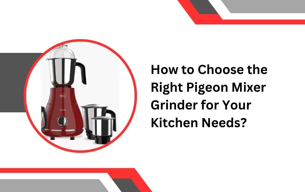 Pigeon Mixer Grinder