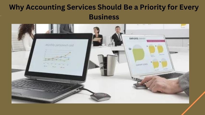 Why Accounting Services Should Be a Priority for Every Business