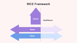 Rice Scoring Model