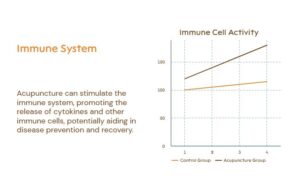 How Acupuncture Affects Inflammation and the Immune System