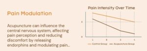 The Gate Control Theory: Blocking Pain Signals