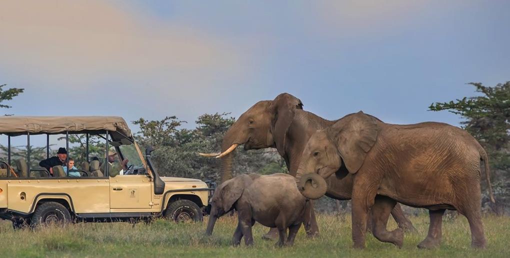 Benefits of Flying to Amboseli for a Seamless and Scenic Safari Experience