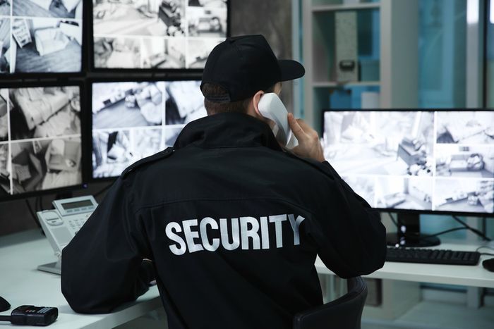 When Private Patrols Strengthen Area Protection?