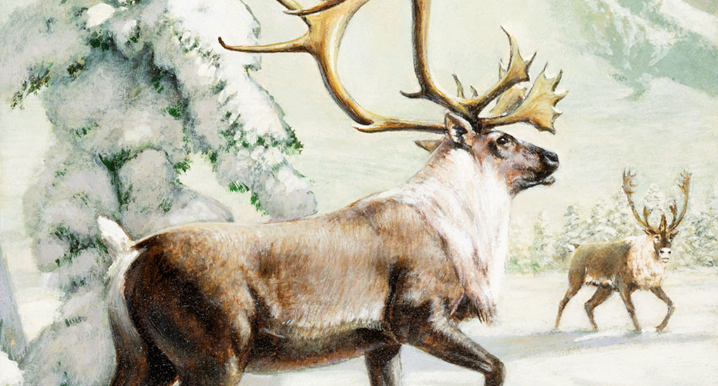 Why Are Reindeer Often Featured in Seasonal Artworks?