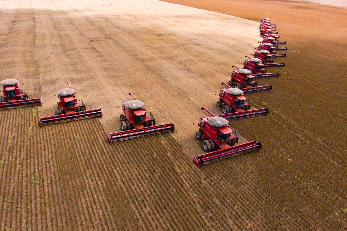 What Role Does Technology Play in Advanced Grain Care?